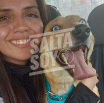 FOTOS | Apareció "Floki", el perro que se había perdido y se hizo viral en las redes