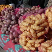 Mañana será la gran feria de pequeños productores en el Delmi