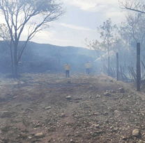Bomberos y la Brigada Forestal sofocaron diversos focos de incendio de pastizales