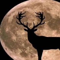 Luna LLena: llega este 13 de julio la más luminosa del año