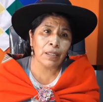 Diputada boliviana pidió sancionar a quienes no atendieron al salteño Benítez