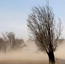 Alerta por fuertes ráfagas de viento y peligro de incendio en Salta 