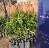 Promueven el autocultivo y venta de excedente en comunidades indígenas