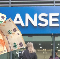 Calendario de ANSES: viernes 15 de julio