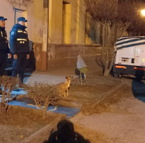 Teo, el perrito salteño que cumple las funciones de policía