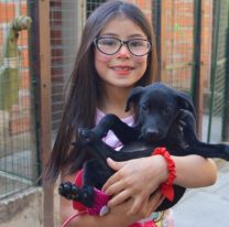 Se invita a festejar el "D&iacute;a del Mejor Amigo" con los perritos del Centro de Adopciones