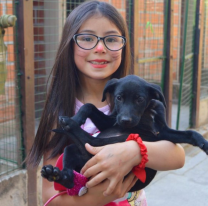 Hoy festejá el "Día del Mejor Amigo" con los perritos del Centro de Adopciones