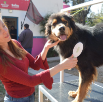 Vecinos participaron del festejo por el "D&iacute;a del Mejor Amigo"
