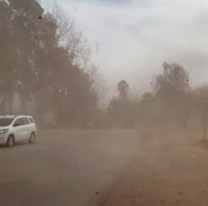 Rige alerta amarilla de vientos para hoy