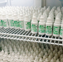 En Salta se produce un larvicida para controlar la población de mosquitos