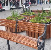 FOTOS | Nuevos macetones y bancos en las peatonales de Salta