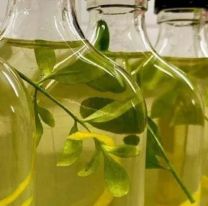 Recibir a la Pacha con caña con ruda: cómo se toma, receta y ritual