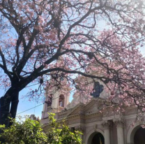 Tras mañanas heladas, llega de nuevo el calorcito a Salta