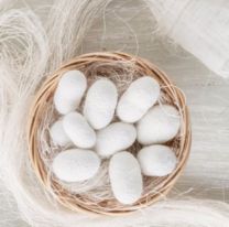 Se viene la "Jornada de difusi&oacute;n de la Seda en el NOA"