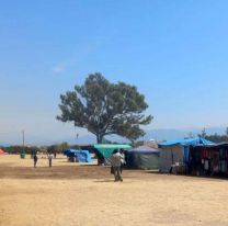 Buen balance en la feria del Campo Histórico de la Cruz
