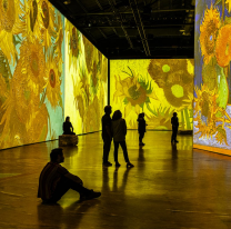 Se inauguró la muestra Van Gogh en el Centro Cultural América