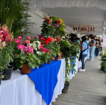 Feria de flores y plantas en la Usina Cultural
