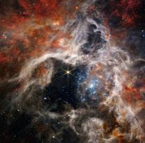 El telescopio espacial James Webb captó una imagen única de la Nebulosa de la Tarántula