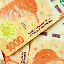 Nuevo IFE de ANSES: comenzó la cuenta regresiva para la fecha de cobro