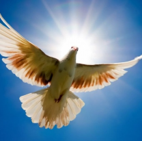 Hoy es el Día Internacional de la Paz