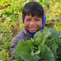 Alumnos de la escuela de Educación especial de Coronel Juan Solá aprenden a través de huertas escolares