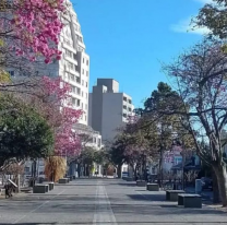 Tenemos un fin de semana primaveral con temperaturas agradables en Salta