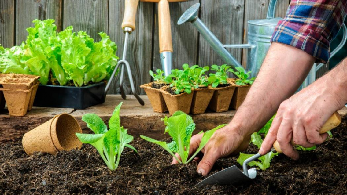 Capacitación de huerta en contenedores en el Mercado Artesanal de Salta