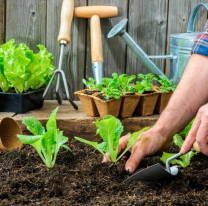 Capacitación de huerta en contenedores en el Mercado Artesanal de Salta