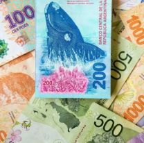 Los monotributistas recibirán un bono de $60.000: quiénes lo pueden cobrar