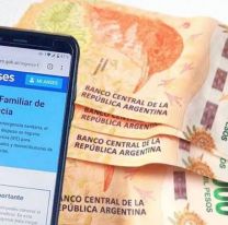 IFE 5: qué datos actualizar para cobrar el bono: el paso a paso