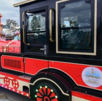 Estos son los días y horarios para disfrutar del Tren y el Carrusel del Parque del Bicentenario