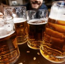 La cerveza puede ayudar a prevenir la demencia