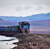 "Oro blanco": el litio puede transformar Salta, como hizo Vaca Muerta en Neuquén