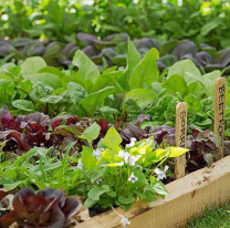 Nuevo taller de agricultura familiar en La Casona de La Paz