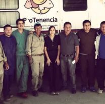 Un equipo de veterinarios intentará romper un récord Guinness en Salta