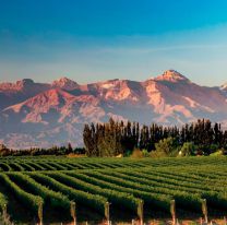 Comienzan los vuelos directos en la ruta Mendoza-Salta