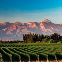 Comienzan los vuelos directos en la ruta Mendoza-Salta