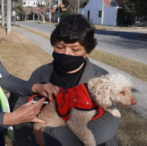 Hoy comienza la campaña de vacunación masiva contra la rabia