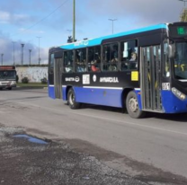 Así funcionará el servicio de colectivos para este viernes 7 y lunes 10