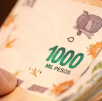  La Anses permitir&aacute; que la inscripci&oacute;n al bono de $45.000 tambi&eacute;n sea online