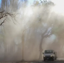 Viento zonda en Salta: los efectos del fenómeno que causó desastre