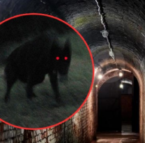 "Está dentro del túnel", se conoció dónde estaría el Familiar y quieren cazarlo