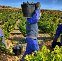 Hoy es el "Día del Trabajador Rural"
