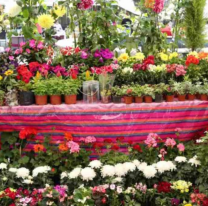 Se realizará una nueva feria de plantas y flores en la Usina Cultural