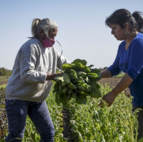 15 de octubre: Día Internacional de las Mujeres Rurales