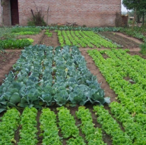 Curso sobre huerta en el Parque Sur