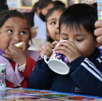 Ya está en proyecto incorporar el yogurt a la Copa de Leche en Salta