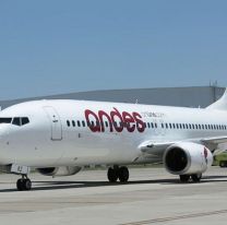 Andes Líneas Aéreas anunció que volverá a volar en Argentina antes de fin de año