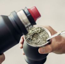 Descubren un nuevo beneficio de la yerba mate: cu&aacute;les son sus efectos contra el c&aacute;ncer 