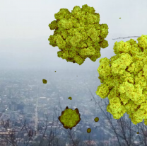 No es gripe: la influenza azota a todos en Salta &iquest;c&oacute;mo se cura?